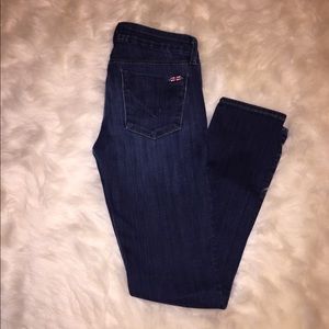 Hudson Dark Wash Skinny Leg Krista Jean