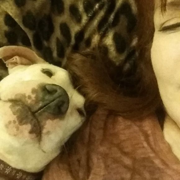 Meet your Posher, Kristen - Picture 1 of 1