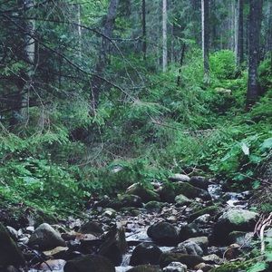 Meet your Posher, Kinga