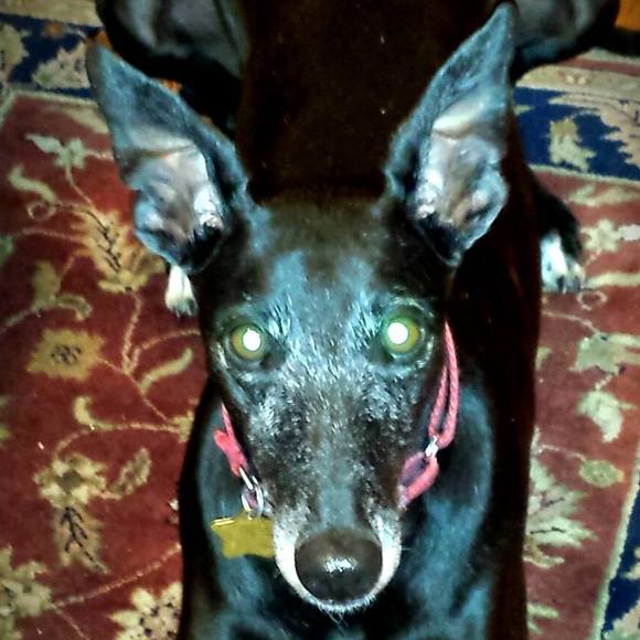 Meet your Posher, Maria