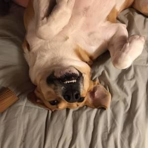 Meet your Posher, Shannon