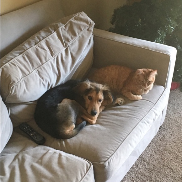 Meet your Posher, Hayley - Picture 5 of 6