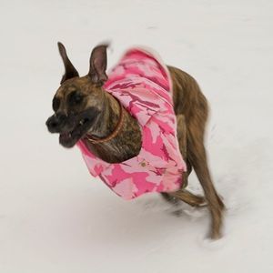 Meet your Posher, Judy