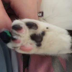 Meet your Posher, Kirsten