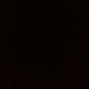 Meet your Posher, Alexus