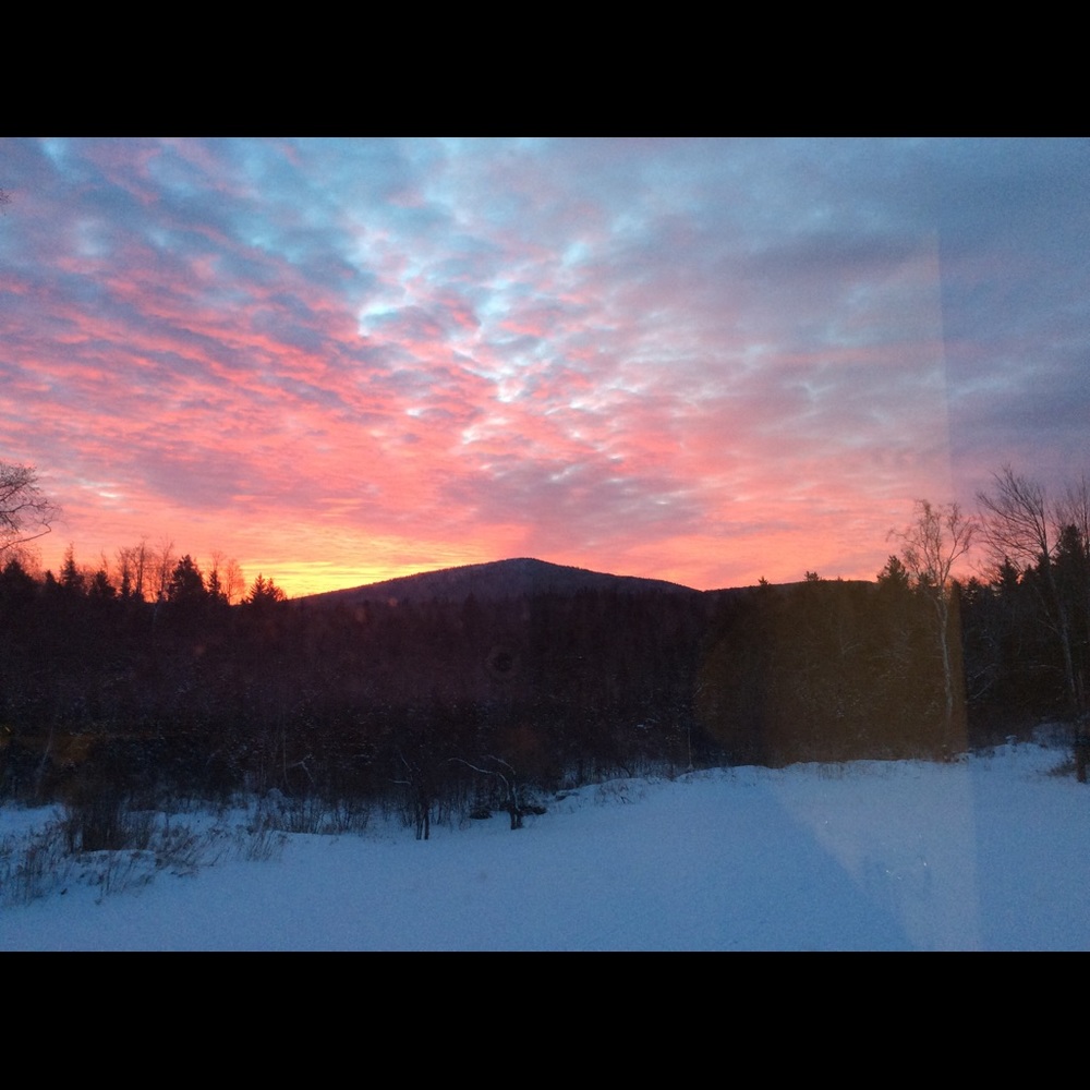 Meet your Posher, Beth