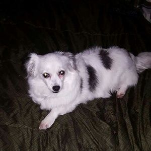 Meet your Posher, Gladys