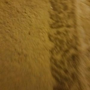 Meet your Posher, Jack