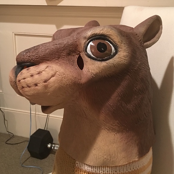 Squirrel Mask
