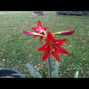 Meet your Posher, Maria