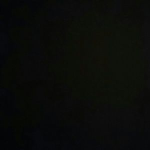 Meet your Posher, Bryanna