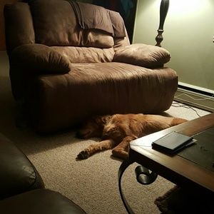 Meet your Posher, Tina