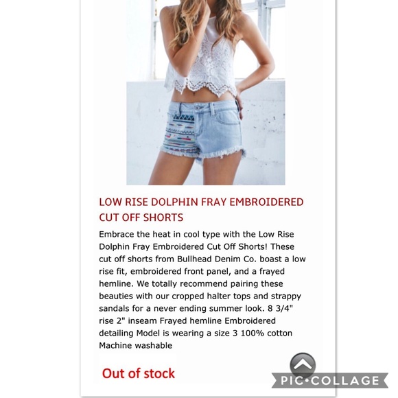 ❌SOLD❌BULLHEAD DOLPHIN FRAY  EMBROIDERED SHORT - Picture 4 of 4