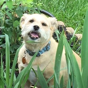 Meet your Posher, Leanne