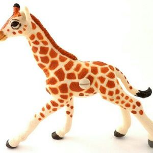 Meet your Posher, Toni