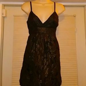 Sexy lace overlay Dress