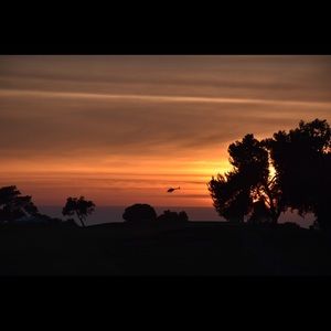 Meet your Posher, Richard