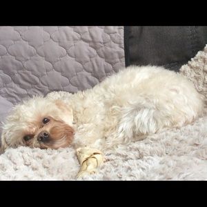 Meet your Posher, Michaela