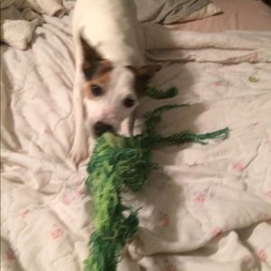 Meet your Posher, Skyjulia