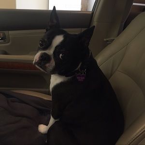 Meet your Posher, Faye