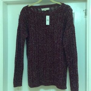NWT Loft Sweater