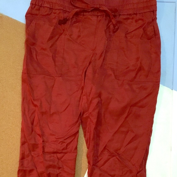Ann Taylor Red-Orange Holiday Pant SP