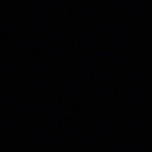 Meet your Posher, Jared