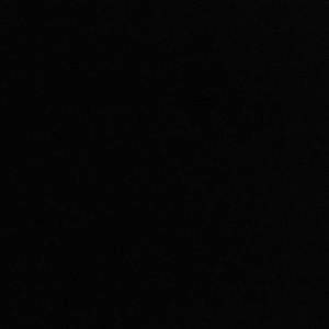 Meet your Posher, Shayla