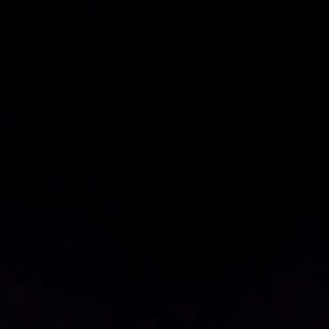 Meet your Posher, Terrie