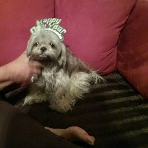 Meet your Posher, April