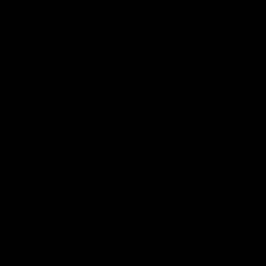 Meet your Posher, Abbi