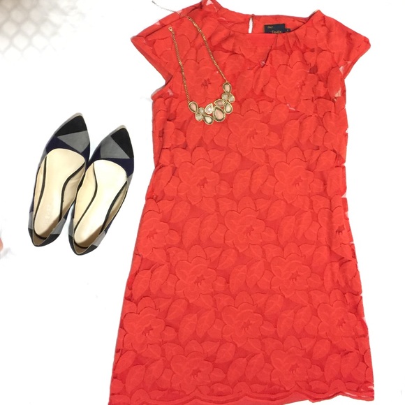 Elegant lace dress NWT