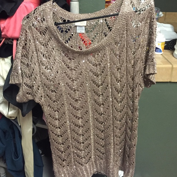 Sequin day trip brand sweater