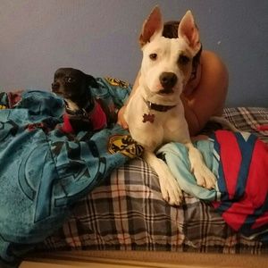 Meet your Posher, Ann margaret