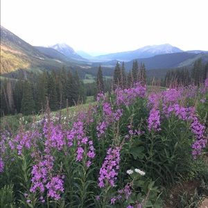 Meet your Posher, Hailey