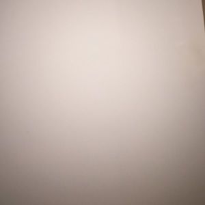 Meet your Posher, Gavin