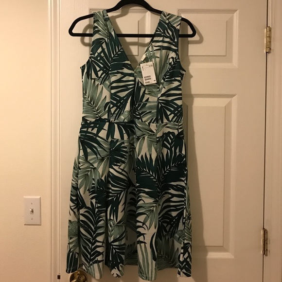 NWT H&M Palm print dress!