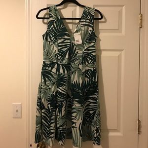 NWT H&M Palm print dress!