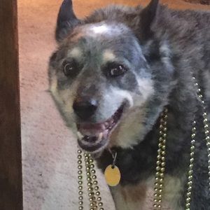 Meet your Posher, Kristy