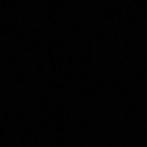 Meet your Posher, Hunter