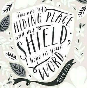 Meet your Posher, Karlee