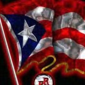 Meet your Posher, Elenie