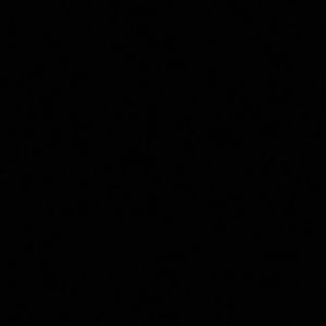 Meet your Posher, Kayelee