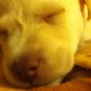 Meet your Posher, Jorge