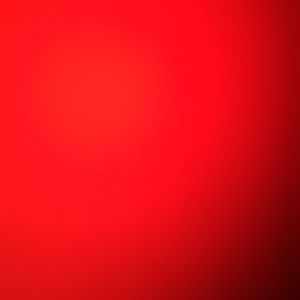 Meet your Posher, Payton