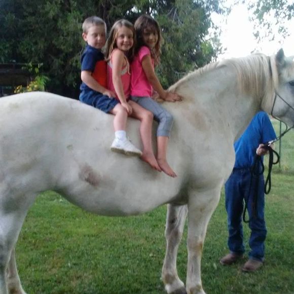 Meet your Posher, Nicole - Picture 1 of 1