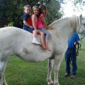 Meet your Posher, Nicole