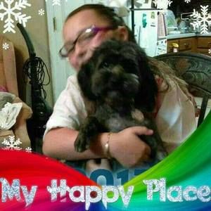 Meet your Posher, Isabel