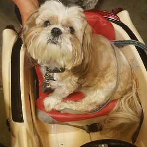 Meet your Posher, Colleen