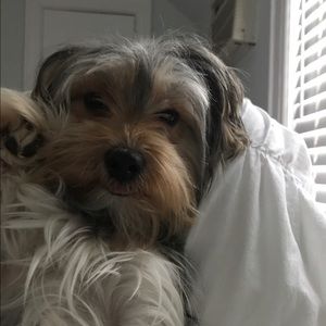 Meet your Posher, Anna